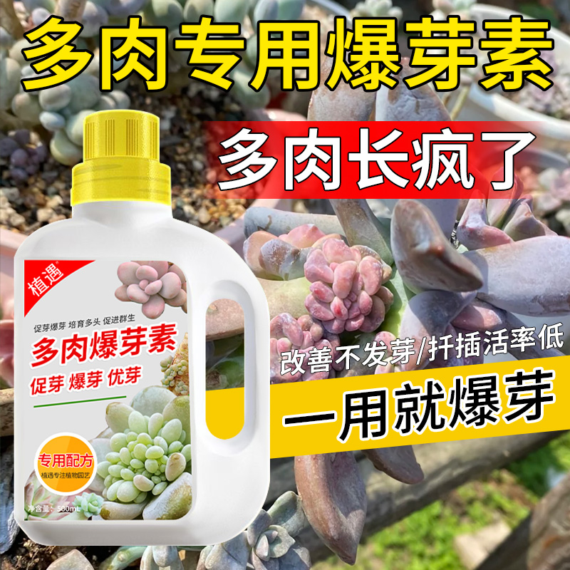 【多肉专用爆芽素】浓缩型叶面肥增肥增色促进生长爆芽多肉营养液