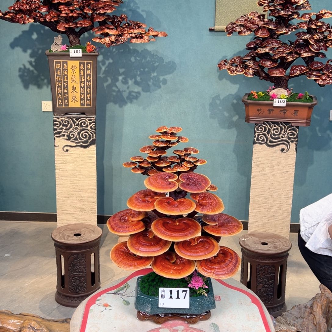 无花朵888888888888