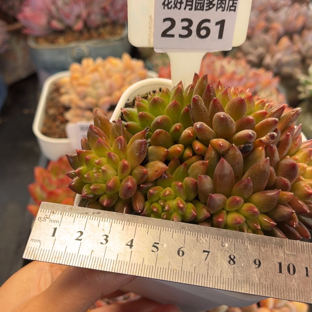 2361 满30包邮天冷地区必拍保温箱