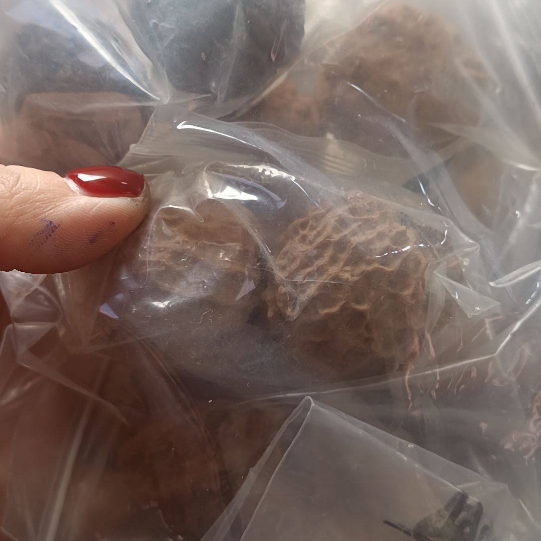 文玩核桃把件666666666666666666