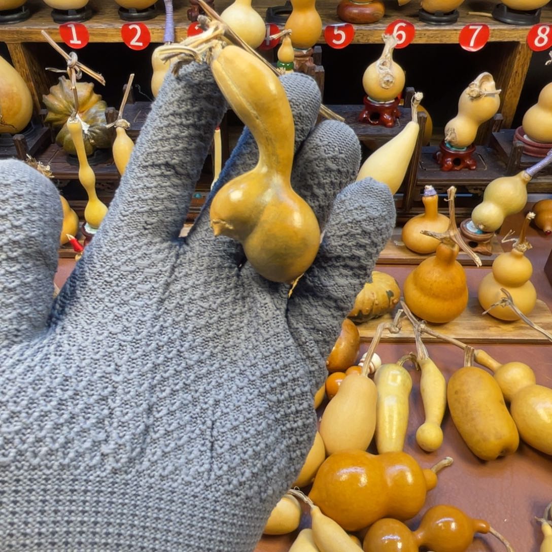 白***粥葫芦葫芦葫芦葫芦