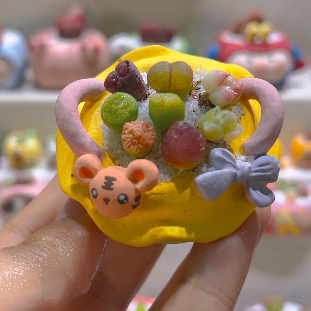 168花海高端多肉带盆带土