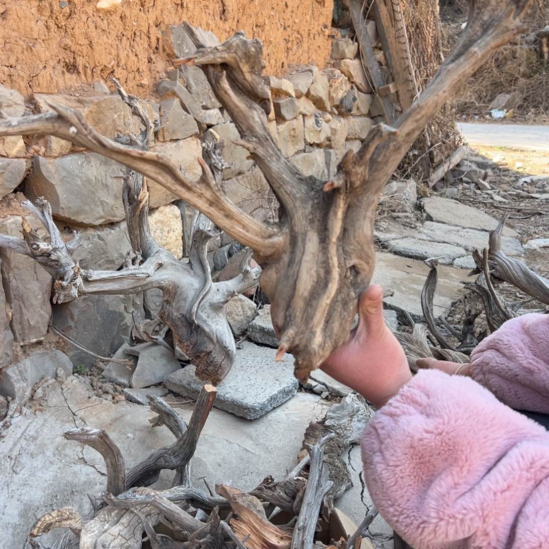 柏木（崖柏）谷****）