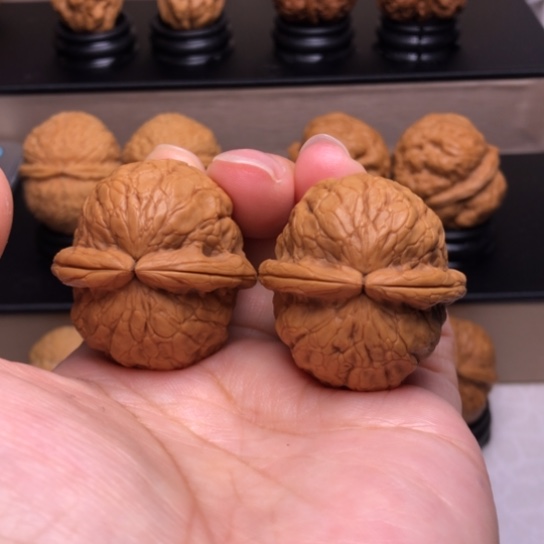 文玩核桃把件金龟玉甲13