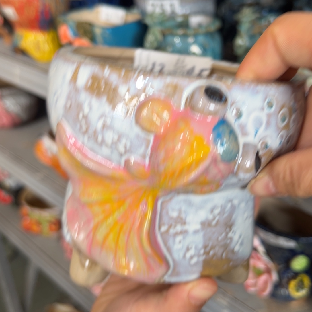 花盆，拍满20发货，退款拉黑