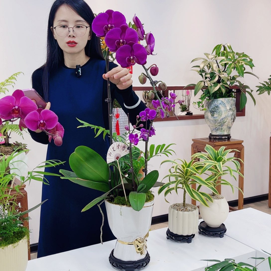 小*高端绿植一物一拍