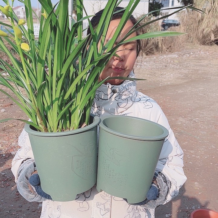 花盆紫砂宜兴紫砂精品花盆 