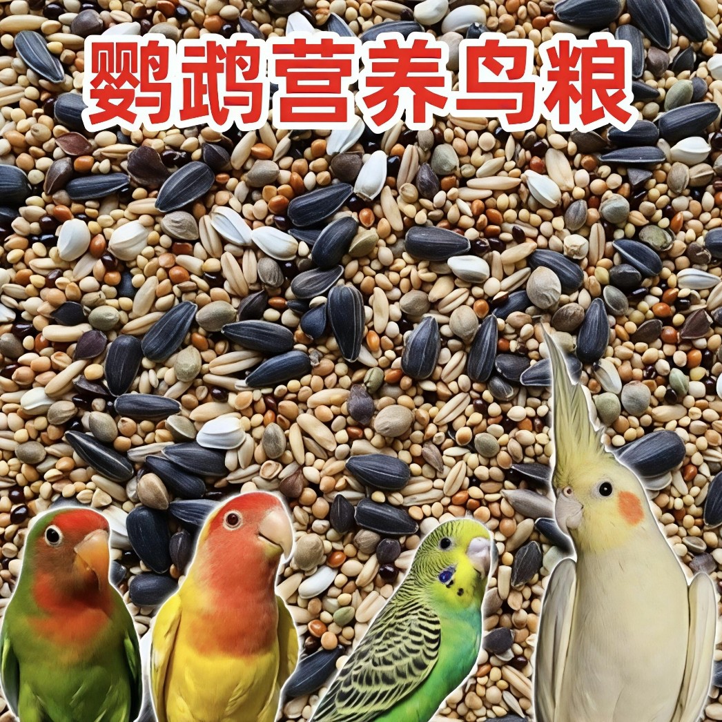 玄凤鹦鹉鸟粮牡丹鹦鹉鸟粮