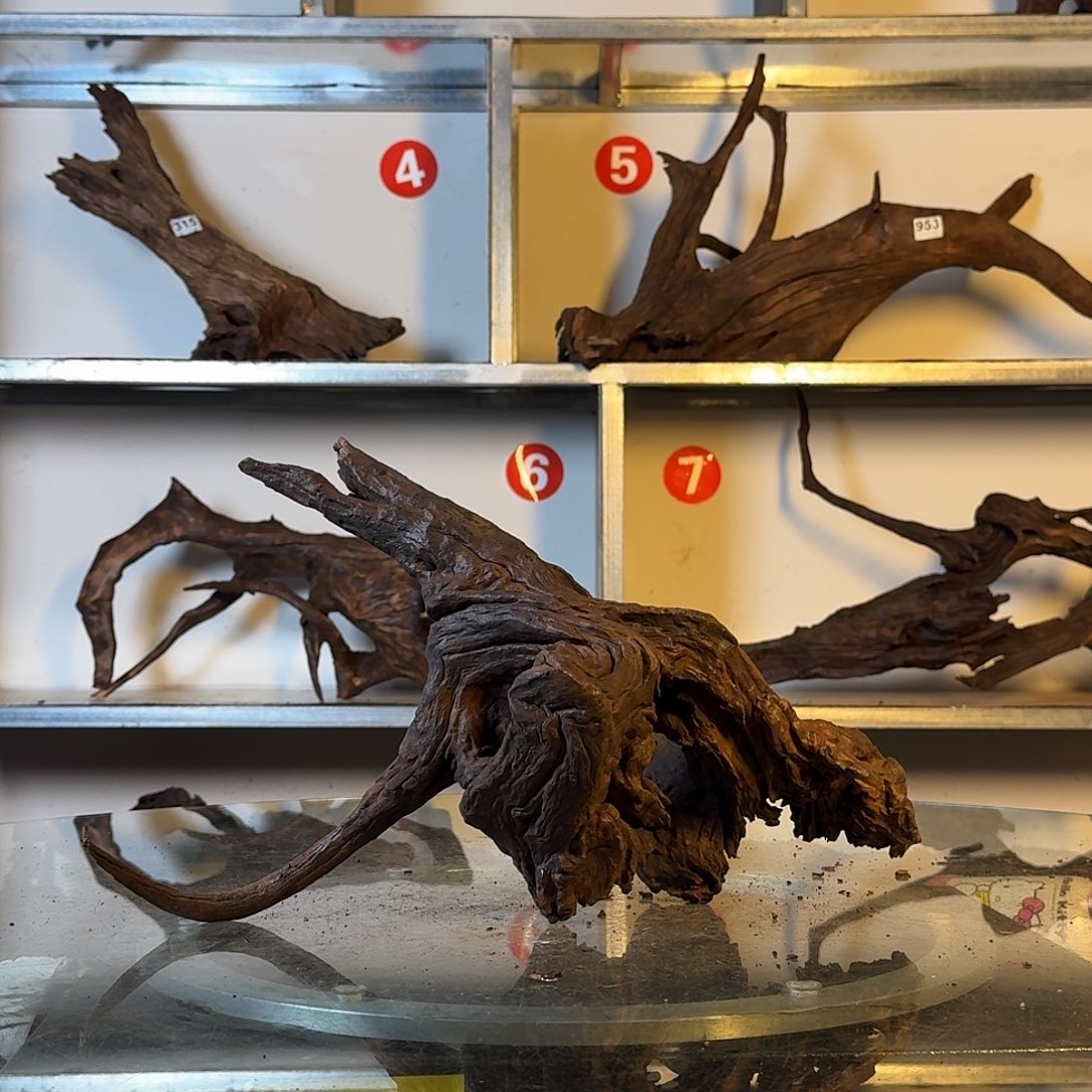 云南紫柚木秒沉001