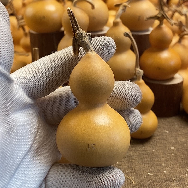 文玩葫芦 完美主义者 慎拍15