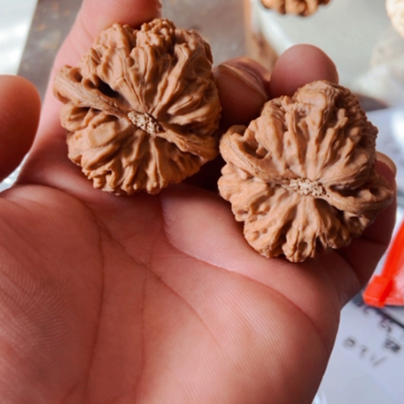 【闪购商品】大***简42全品无修大粗筋尺寸