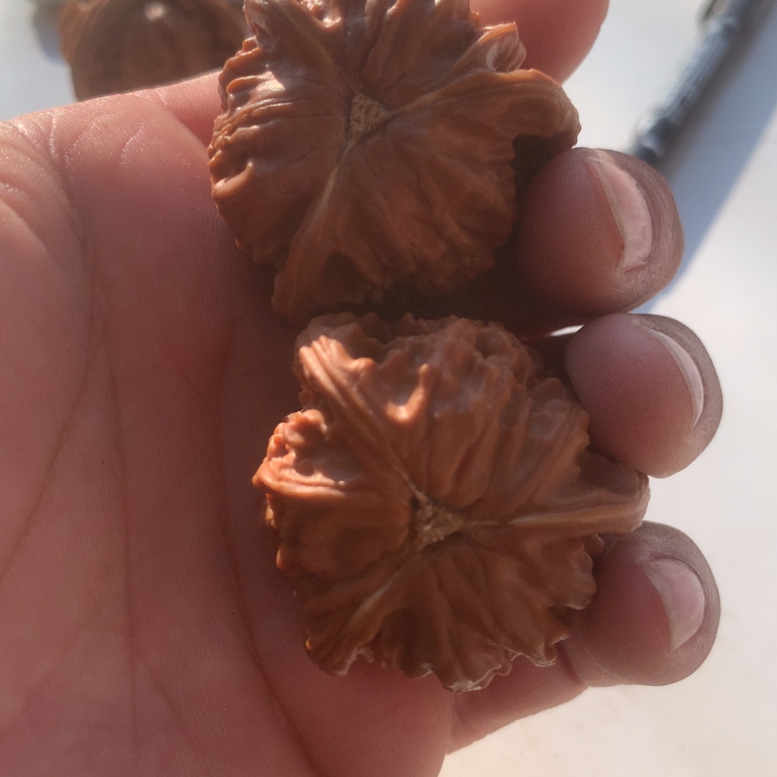 吊坠文玩核桃三棱