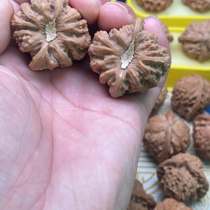 核桃手串/手链红宝石狮子头37尺有点修