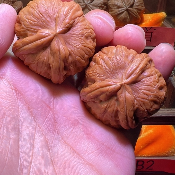 粗棱平谷元宝三棱核桃