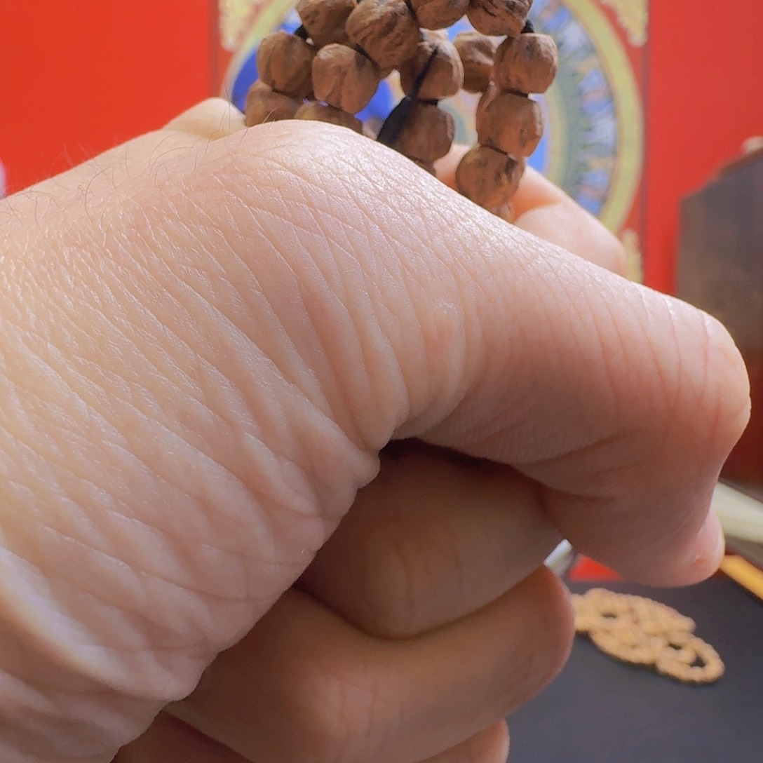 柏香籽/百香籽手串