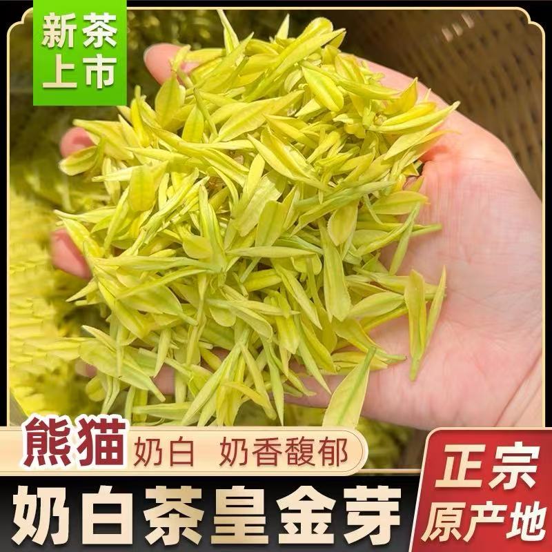 （B58大熊猫奶白茶），明前奶香十足口感鲜爽