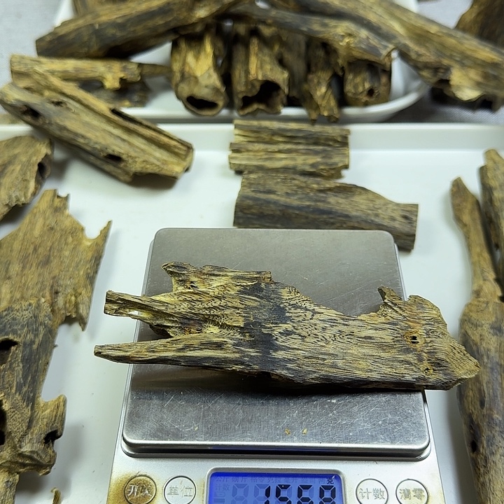 贪***气香料乌身圆叶虫漏香15克