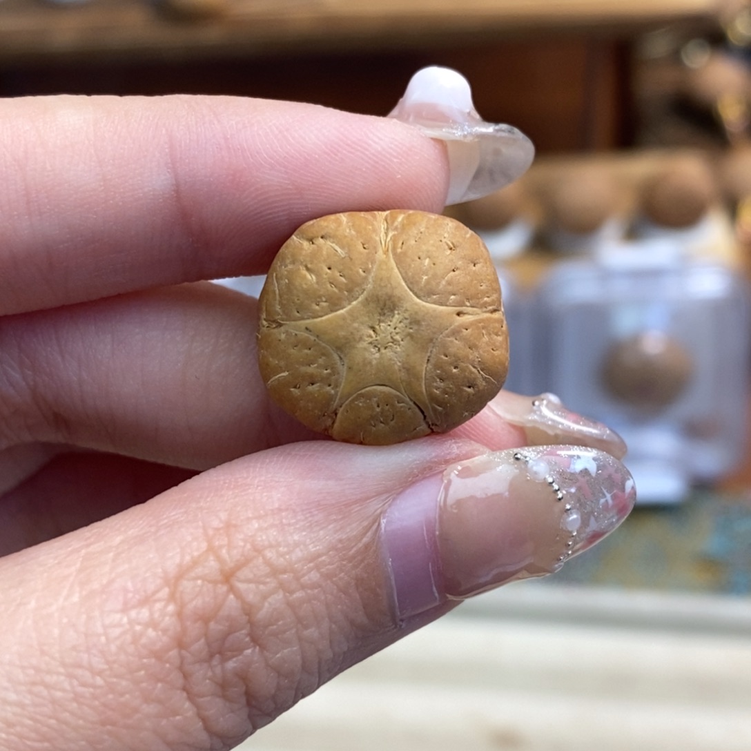 凤眼菩提吊坠特价五星微裂