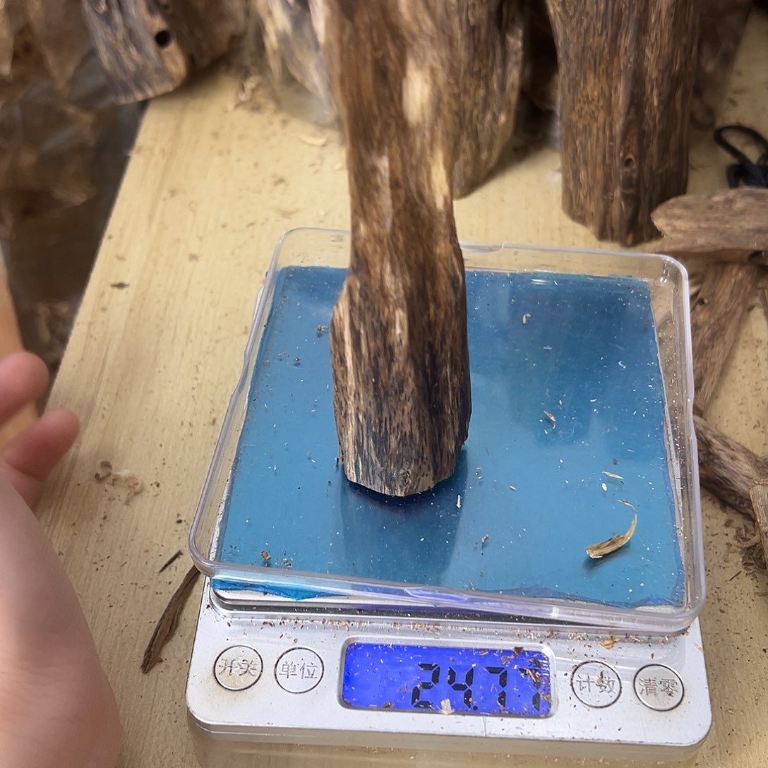 香料绿奇楠虫漏22克金沙叶