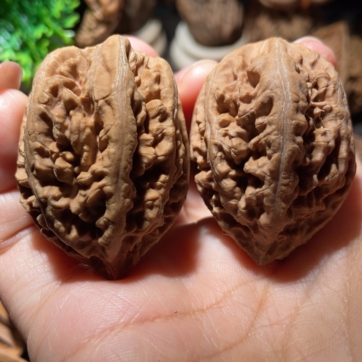 把件文玩核桃东北楸子小雪264