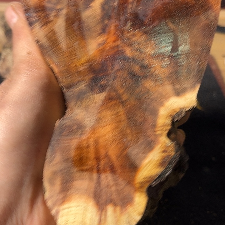 打***仔香榧木我们的确是一个人的生活方式