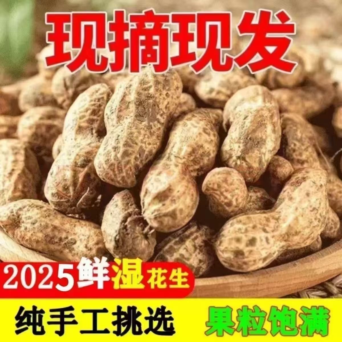 2025年现摘花生带壳湿花生沙地花生可生吃可水煮