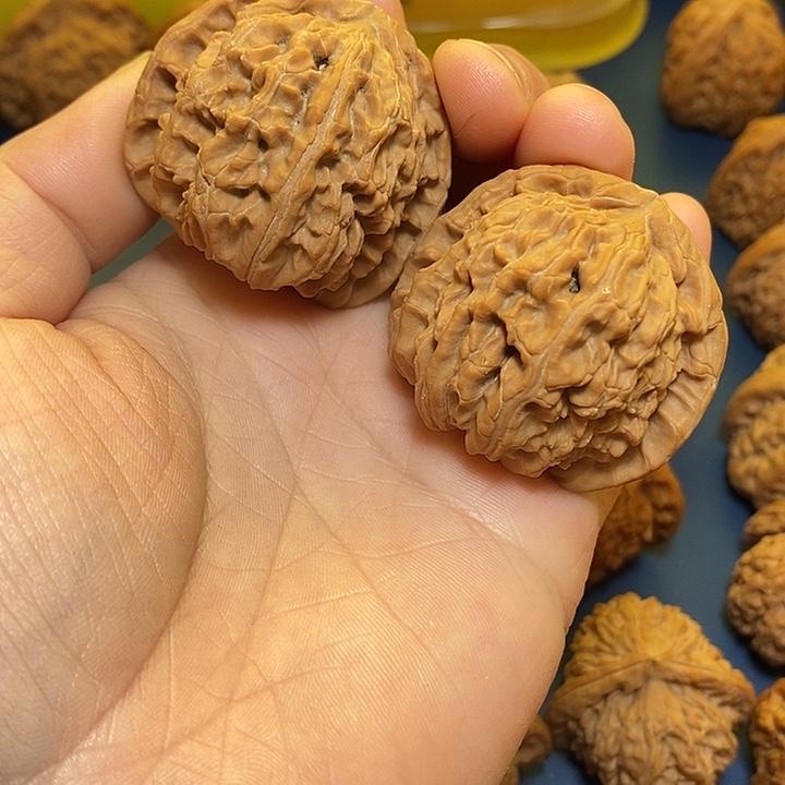 文玩核桃把件白狮子