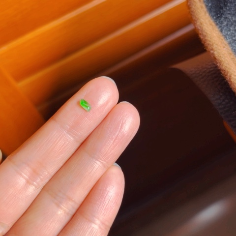 翡翠颈饰未镶嵌幸****1