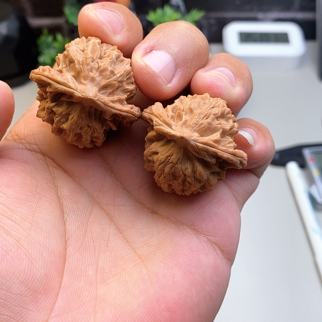 凤眼菩提手串文玩核桃