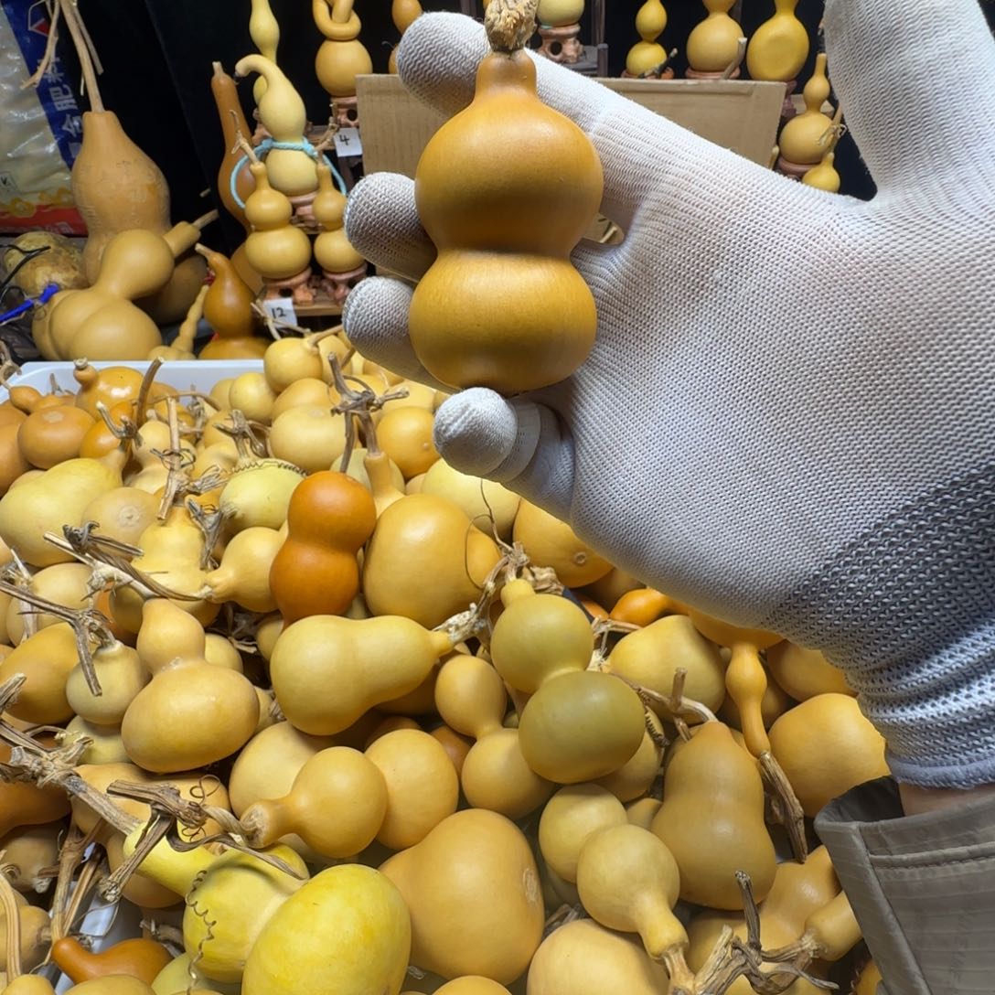 哥哥哥哥哥哥哥哥哥