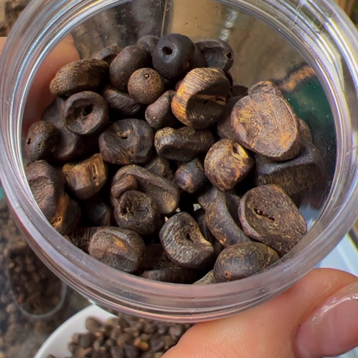 沉香沉香碎屑奇楠留疤高端老料30克