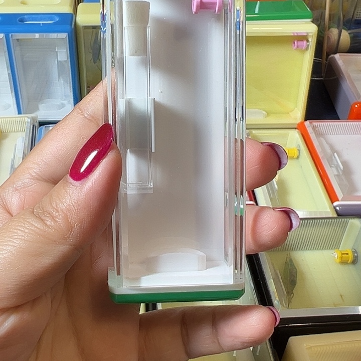 滨***滨蟋蟀哈哈哈哈哈哈哈哈哈哈哈哈哈