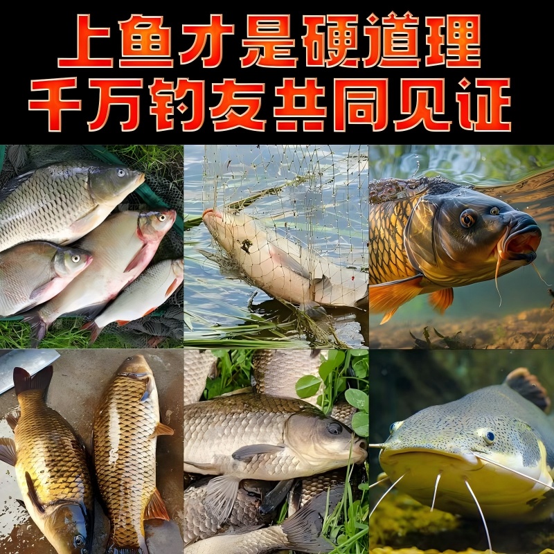 主播同款饵料【拍一发12包】一包搞定饵料腥香饵黑坑江河湖泊通用