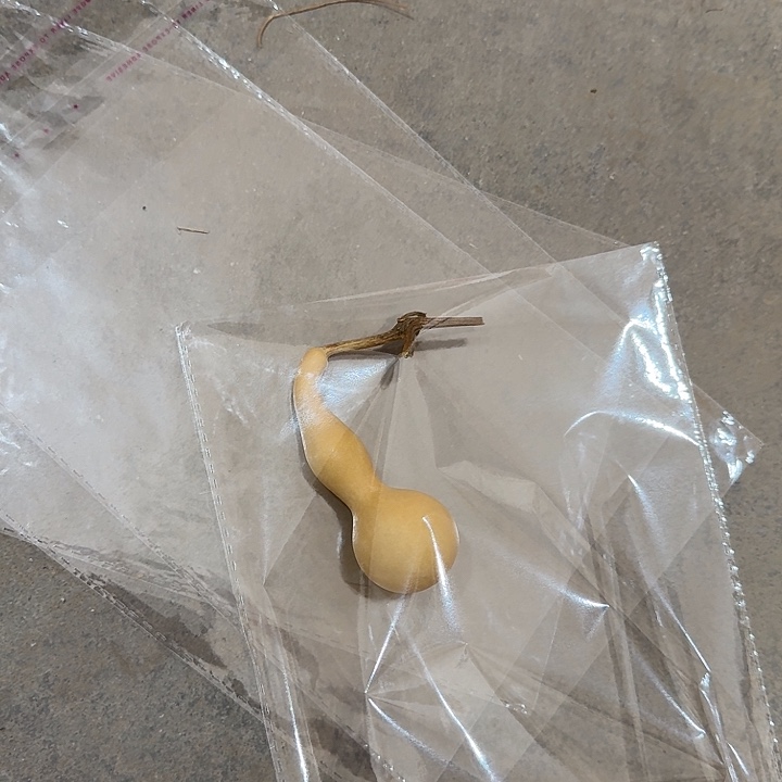 吾*你在哪呢你现在干吗