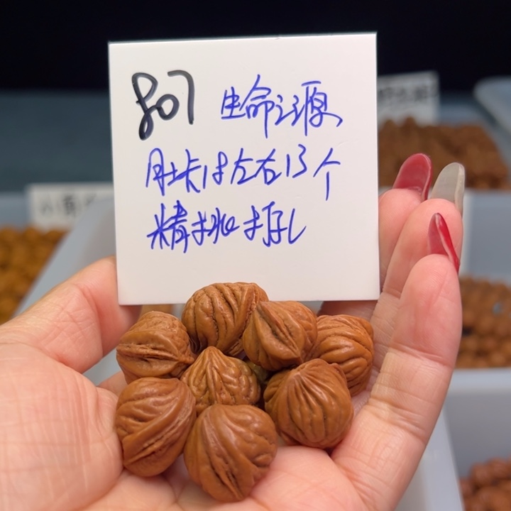 桃核把件生命之源18尺寸