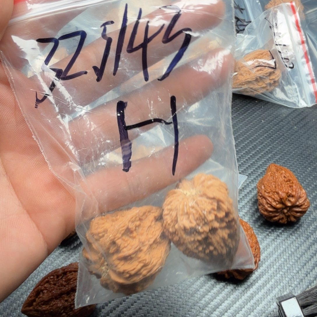 吊坠桃核毕业一号塔尖