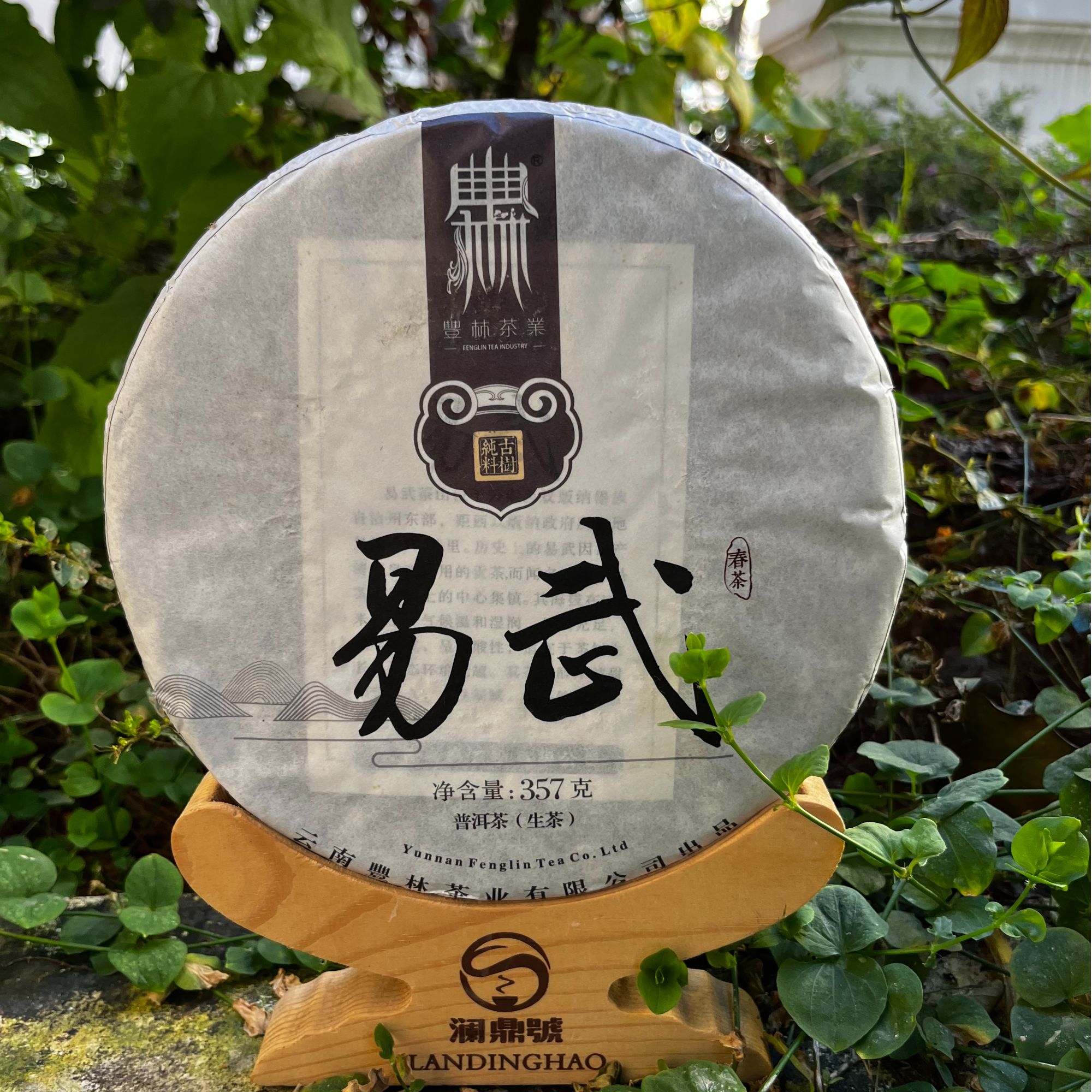 2018年易武云南大叶种普洱（生茶）