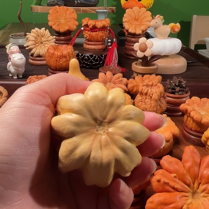 胡***想墨西哥葫芦手把飞翅