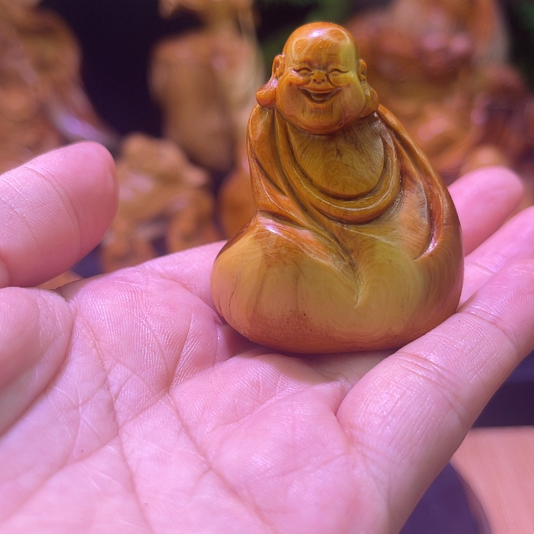 柏木88888888888888888