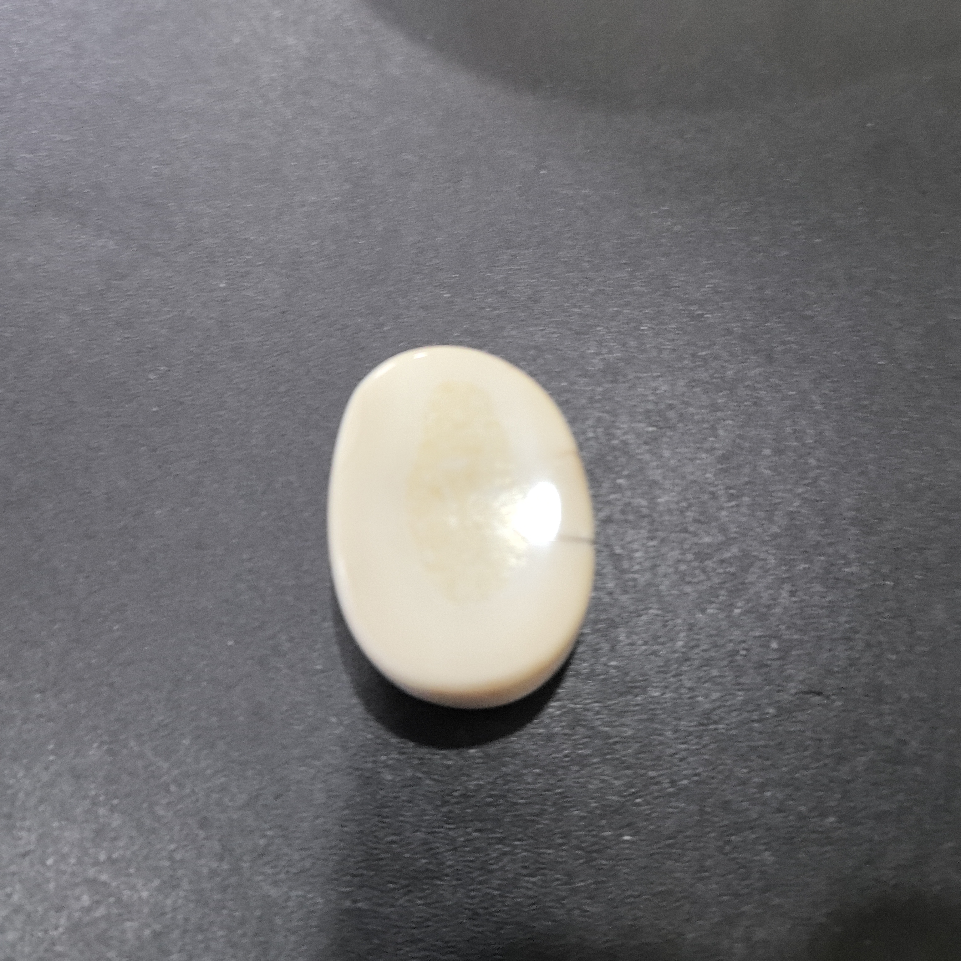 猛犸虬约22.2克饼子FG71
