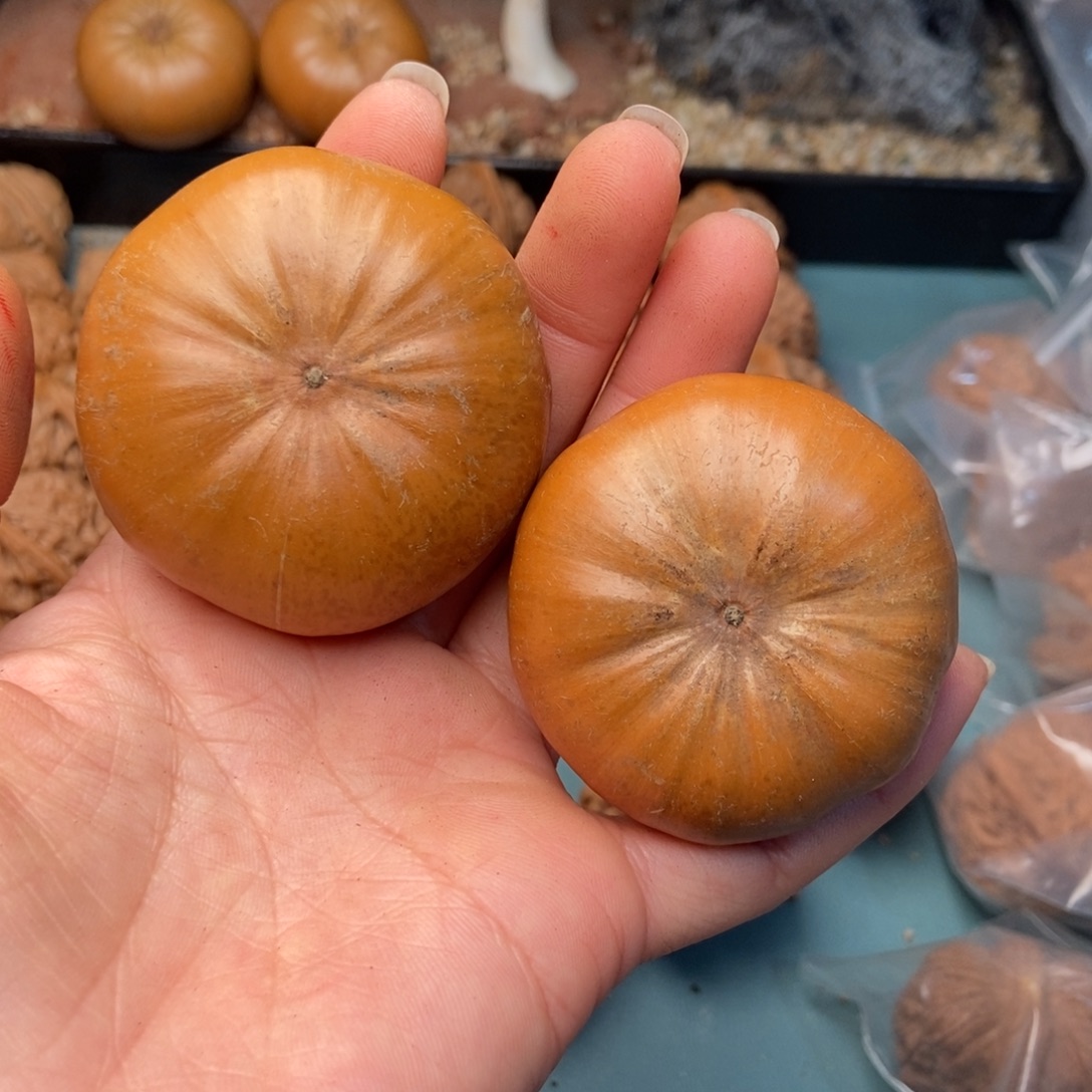 吊坠文玩核桃flg17