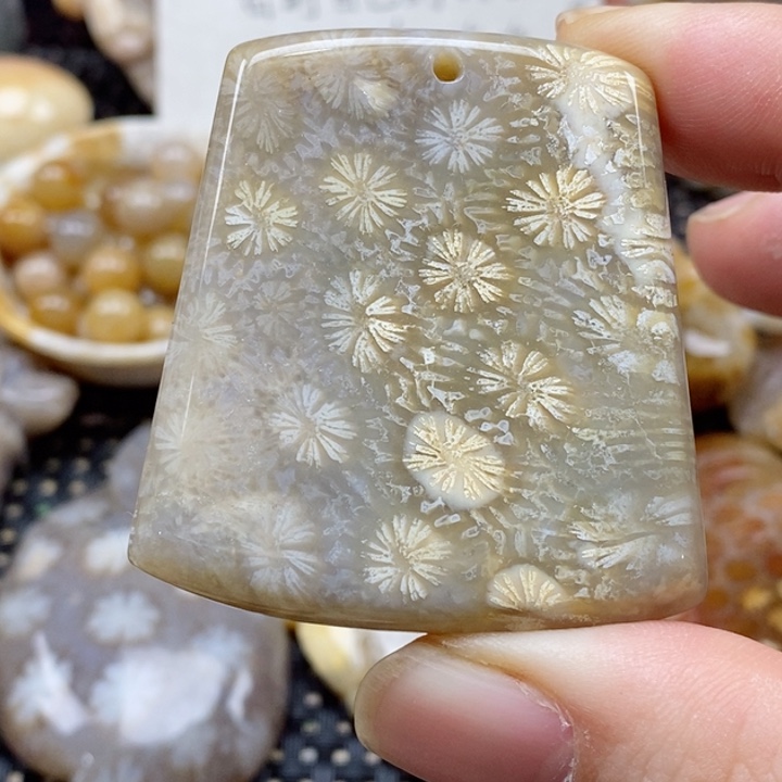 硅化珊瑚（珊瑚玉）颈饰未镶嵌