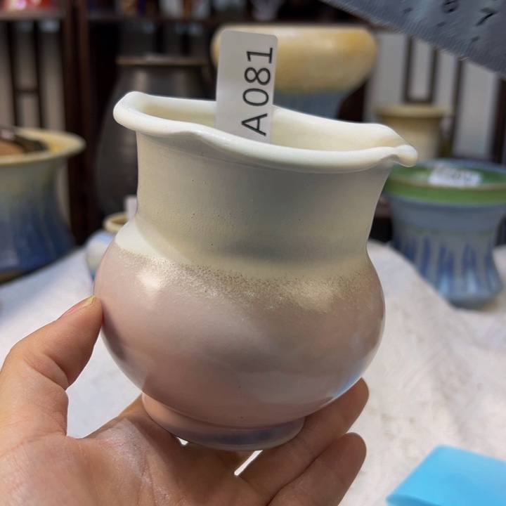 景德镇陶瓷研究所