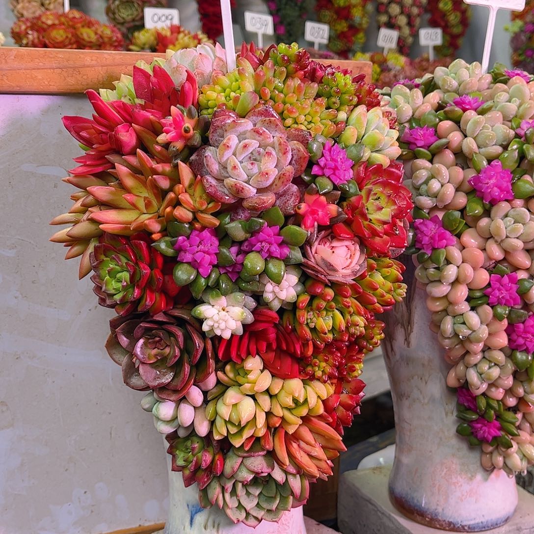 这个是真的好看001