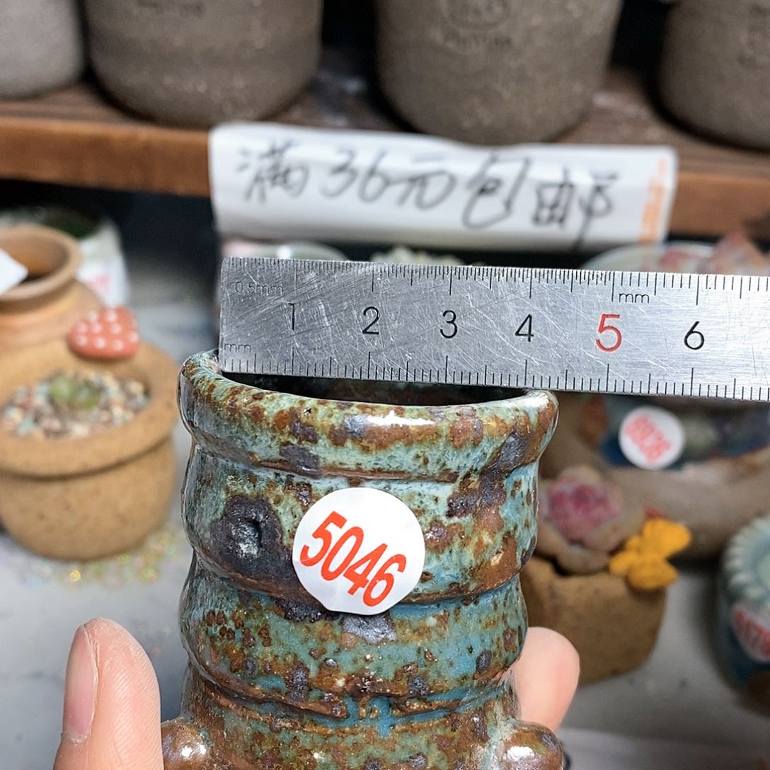 红陶拍5送一个小