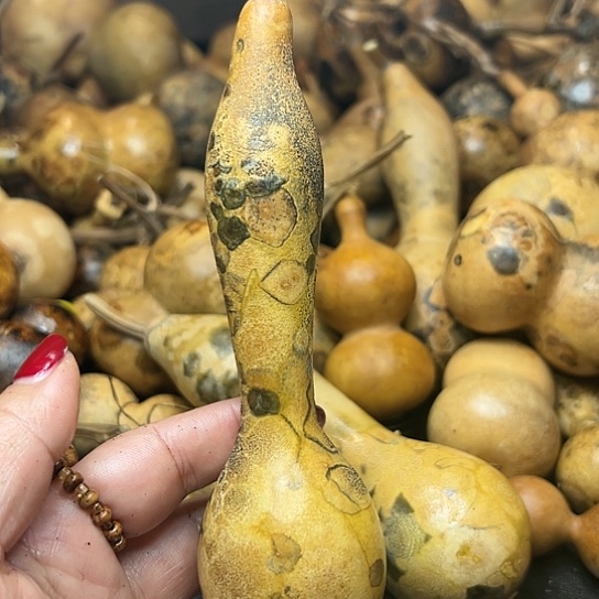 黎*葫芦葫芦葫芦葫芦