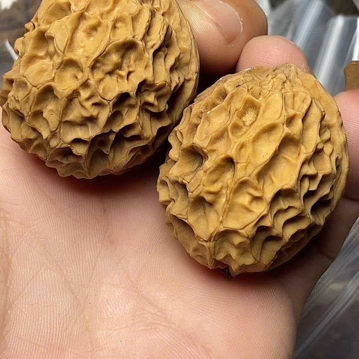文玩核桃把件云南铁核桃13