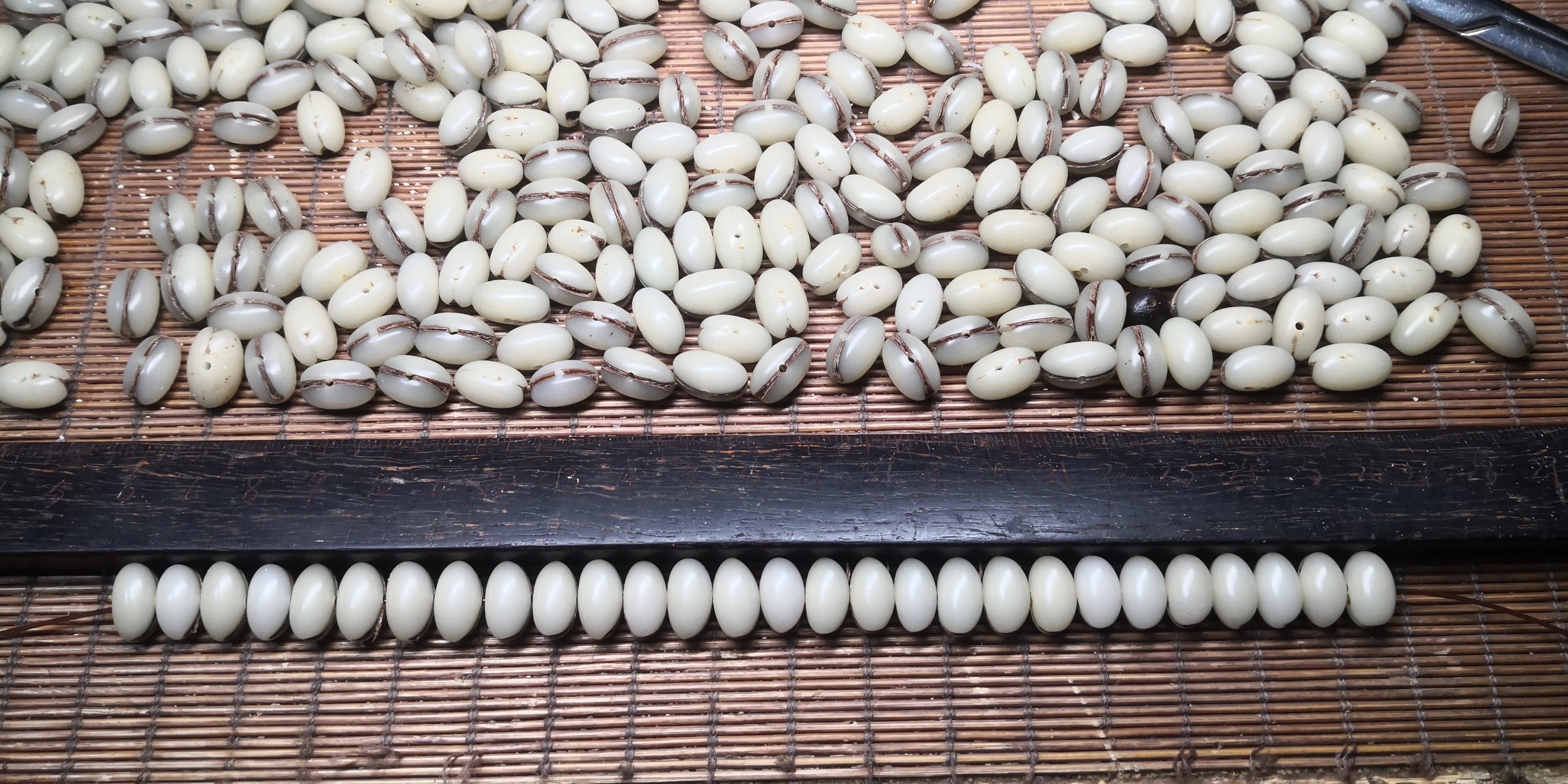 非金属木质手链 椰枣菩提椰枣核菩提子手串佛珠手工精挑