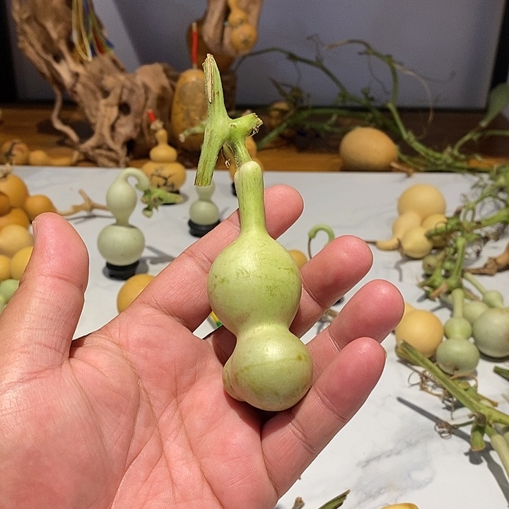 泡***甜精品葫芦手把葫芦1