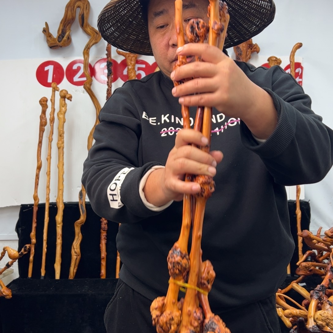 其他黑果木黑果木048